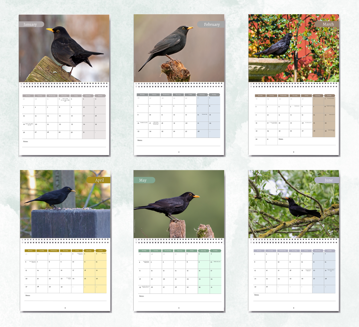 Blackbird Calendar 2027