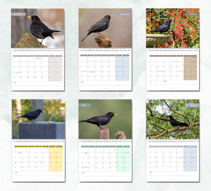 Blackbird Calendar 2027