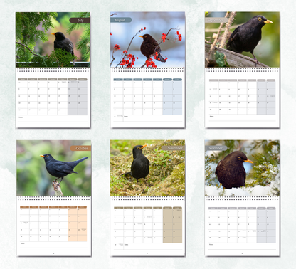 Blackbird Calendar 2027