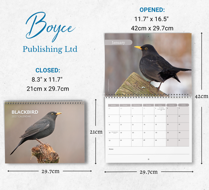 Blackbird Calendar 2027