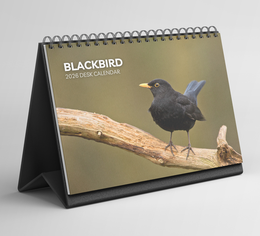 Blackbird Desk Calendar 2026-2027
