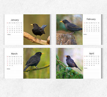 Blackbird Desk Calendar 2026-2027