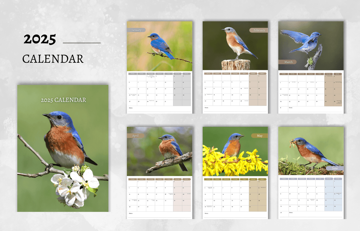 Bluebird Calendar 2025