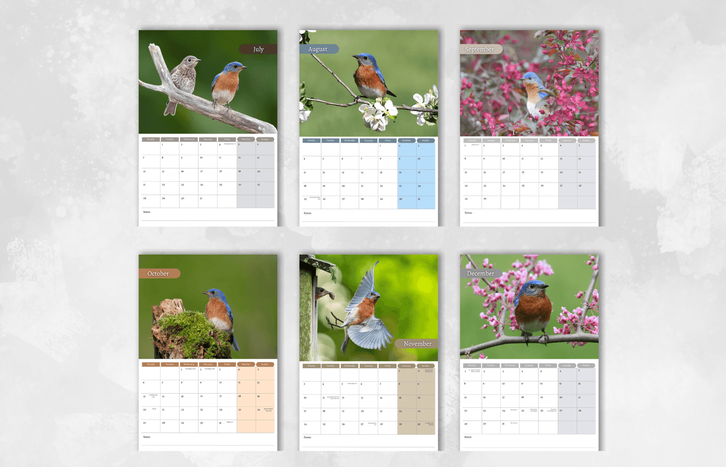 Bluebird Calendar 2025