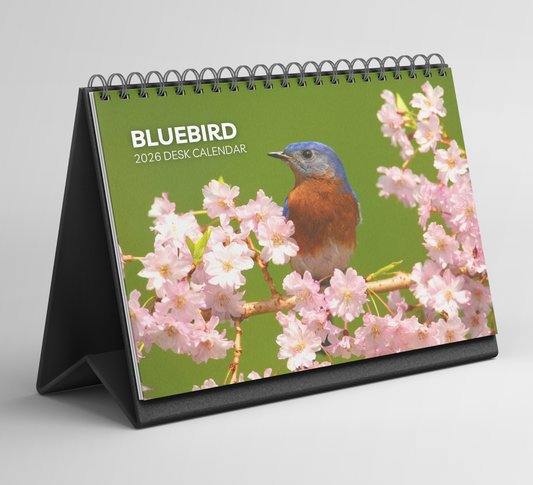 Bluebird Desk Calendar 2026-2027