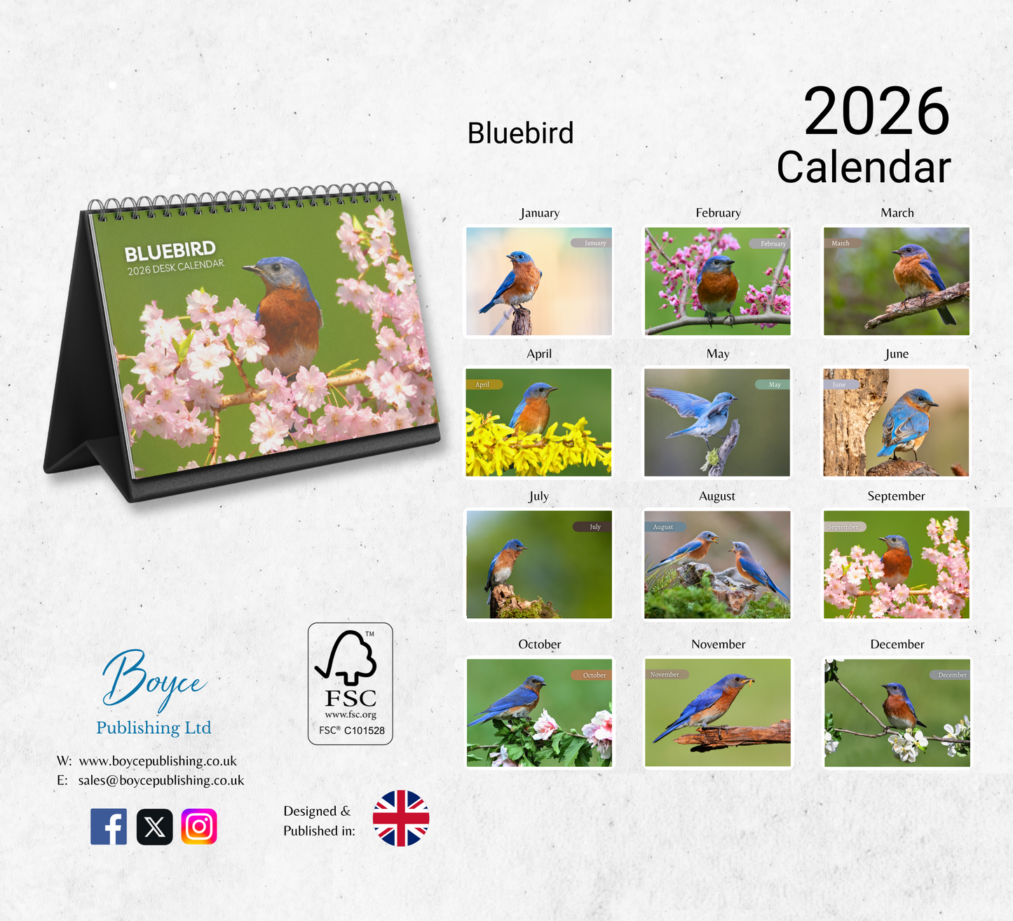 Bluebird Desk Calendar 2026-2027