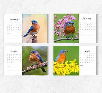 Bluebird Desk Calendar 2026-2027