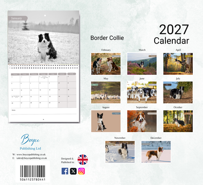 Border Collie Calendar 2027