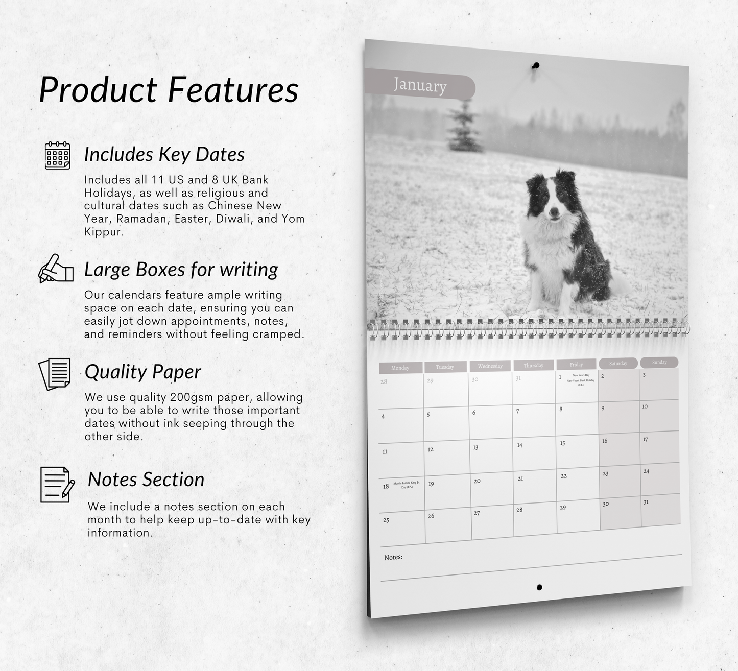 Border Collie Calendar 2027