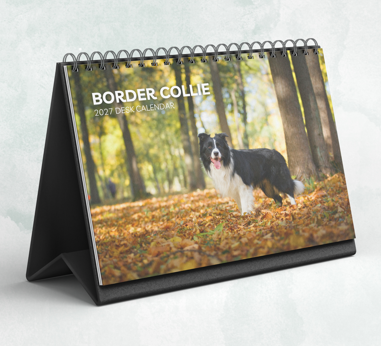 Border Collie Desk Calendar 2027-2028