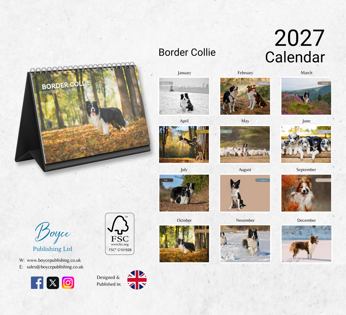 Border Collie Desk Calendar 2027-2028