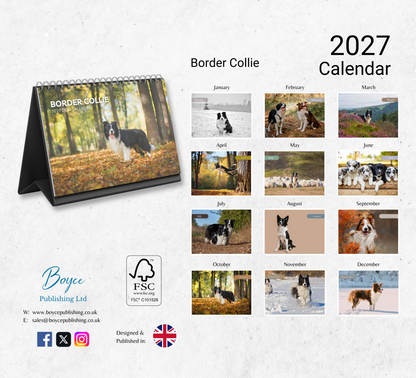 Border Collie Desk Calendar 2027-2028