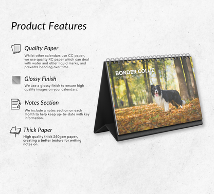 Border Collie Desk Calendar 2027-2028