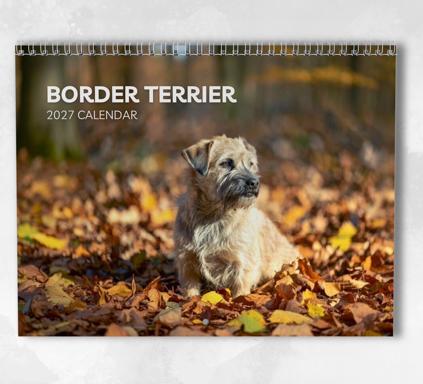 Border Terrier Calendar 2027
