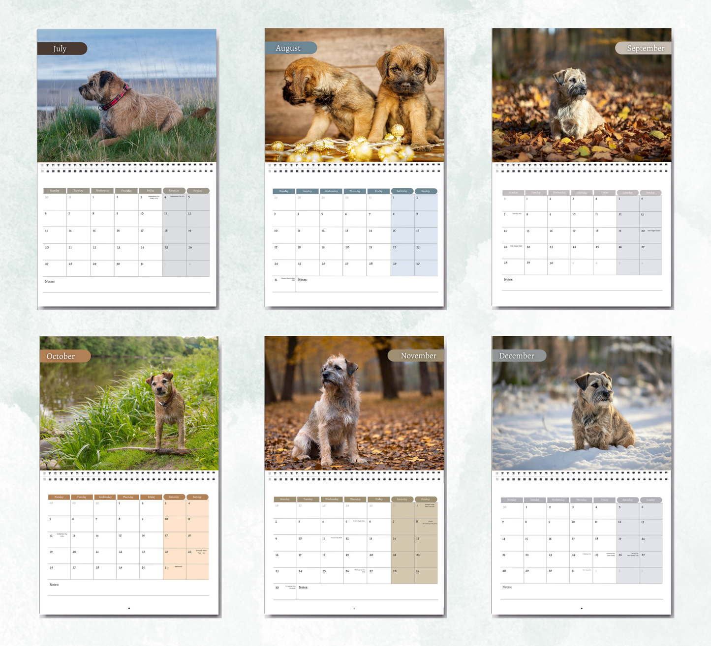 Border Terrier Calendar 2027