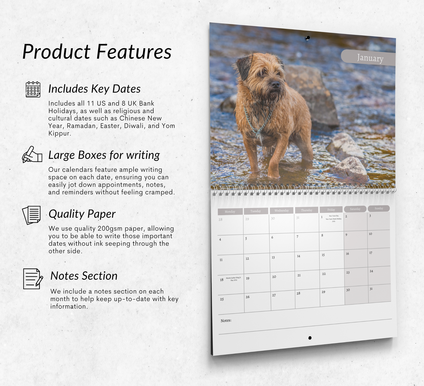 Border Terrier Calendar 2027