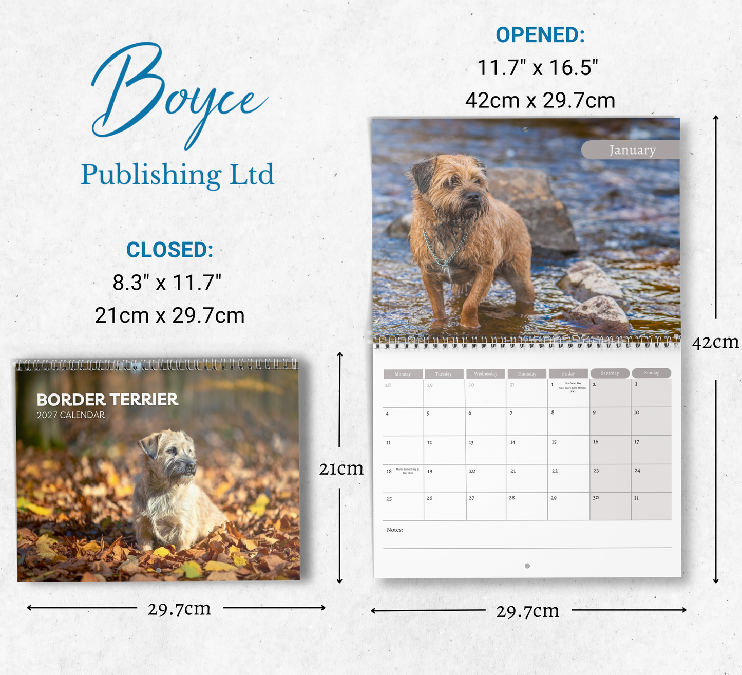 Border Terrier Calendar 2027