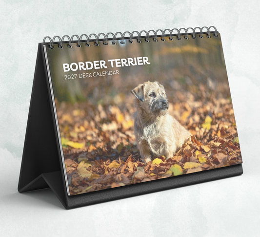 Border Terrier Desk Calendar 2027-2028