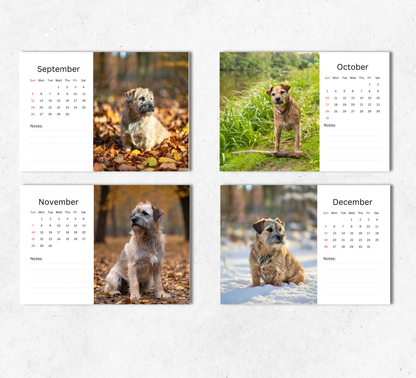 Border Terrier Desk Calendar 2027-2028