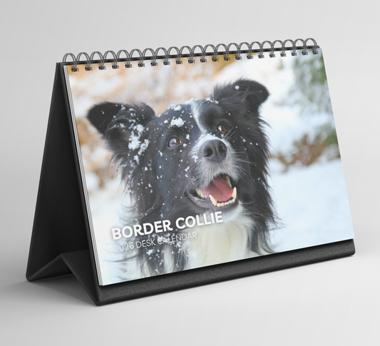 Border Collie Desk Calendar 2026-2027