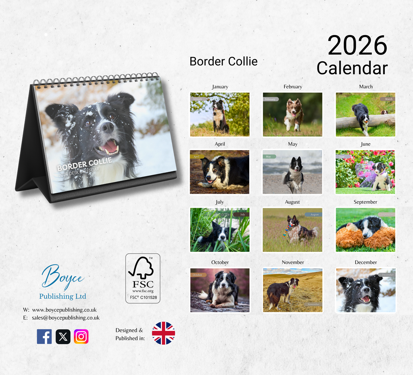 Border Collie Desk Calendar 2026-2027