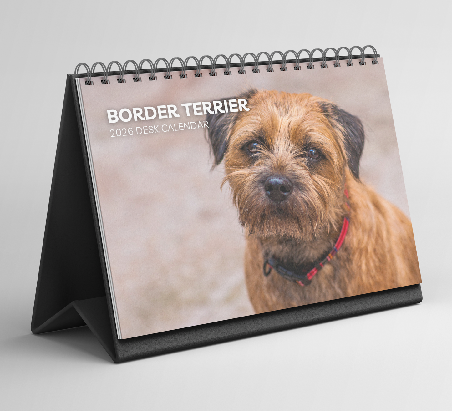 Border Terrier Desk Calendar 2026-2027