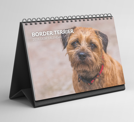 Border Terrier Desk Calendar 2026-2027