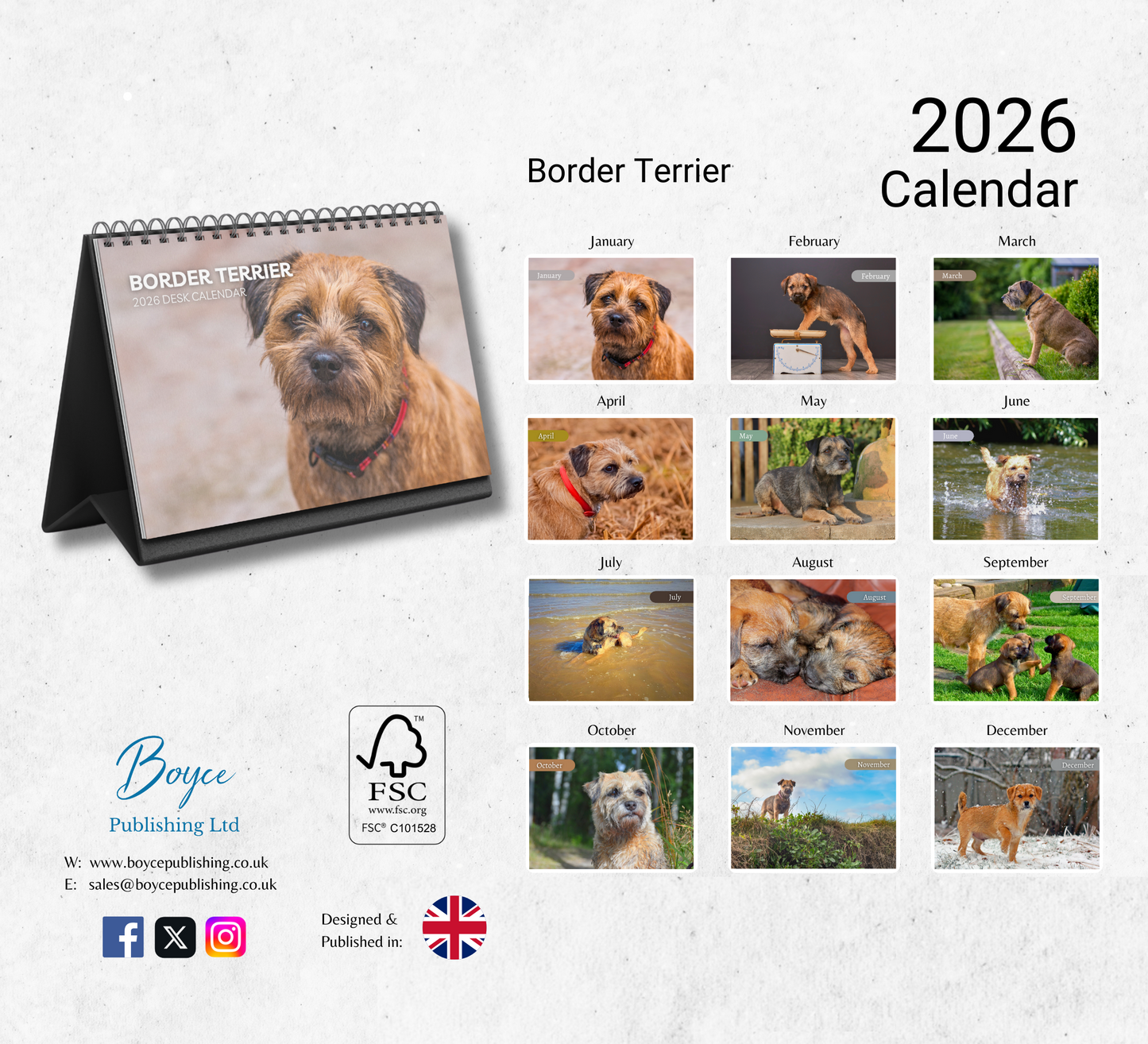 Border Terrier Desk Calendar 2026-2027