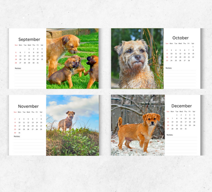 Border Terrier Desk Calendar 2026-2027