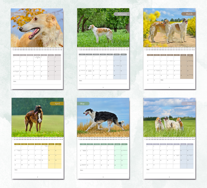 Borzoi Calendar 2027