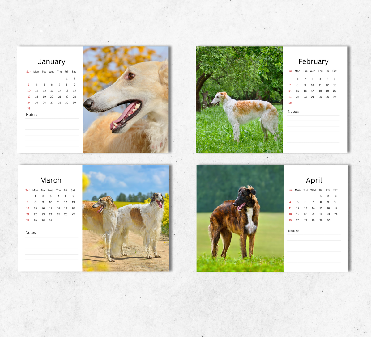 Borzoi Desk Calendar 2027-2028