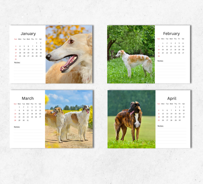 Borzoi Desk Calendar 2027-2028