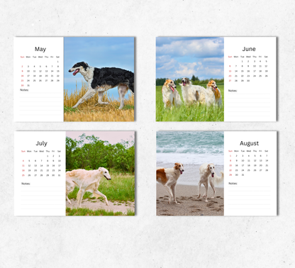 Borzoi Desk Calendar 2027-2028