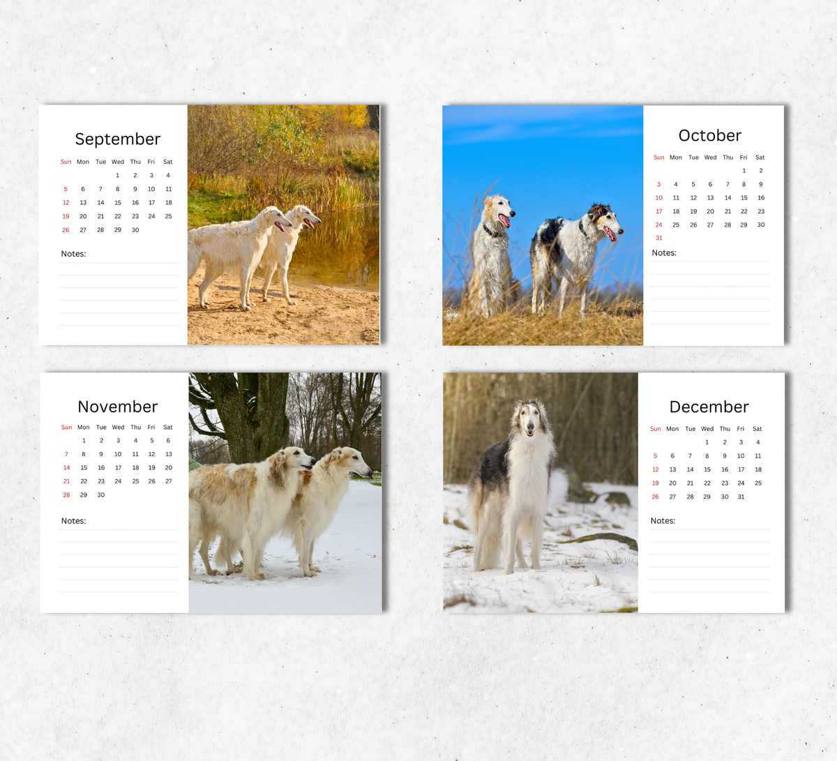 Borzoi Desk Calendar 2027-2028