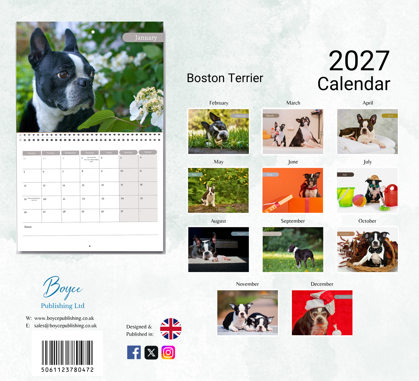 Boston Terrier Calendar 2027