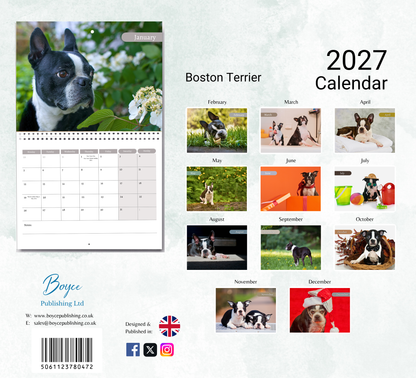 Boston Terrier Calendar 2027