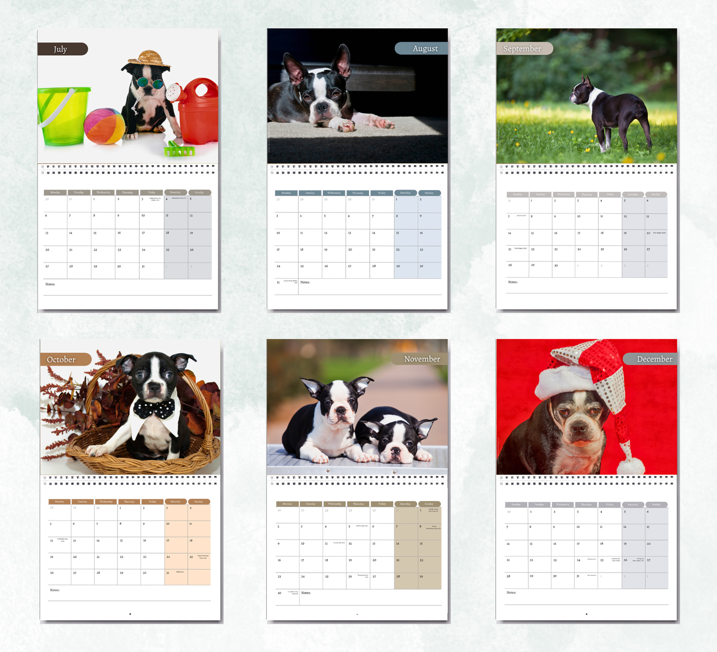 Boston Terrier Calendar 2027