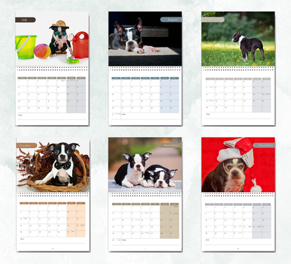Boston Terrier Calendar 2027