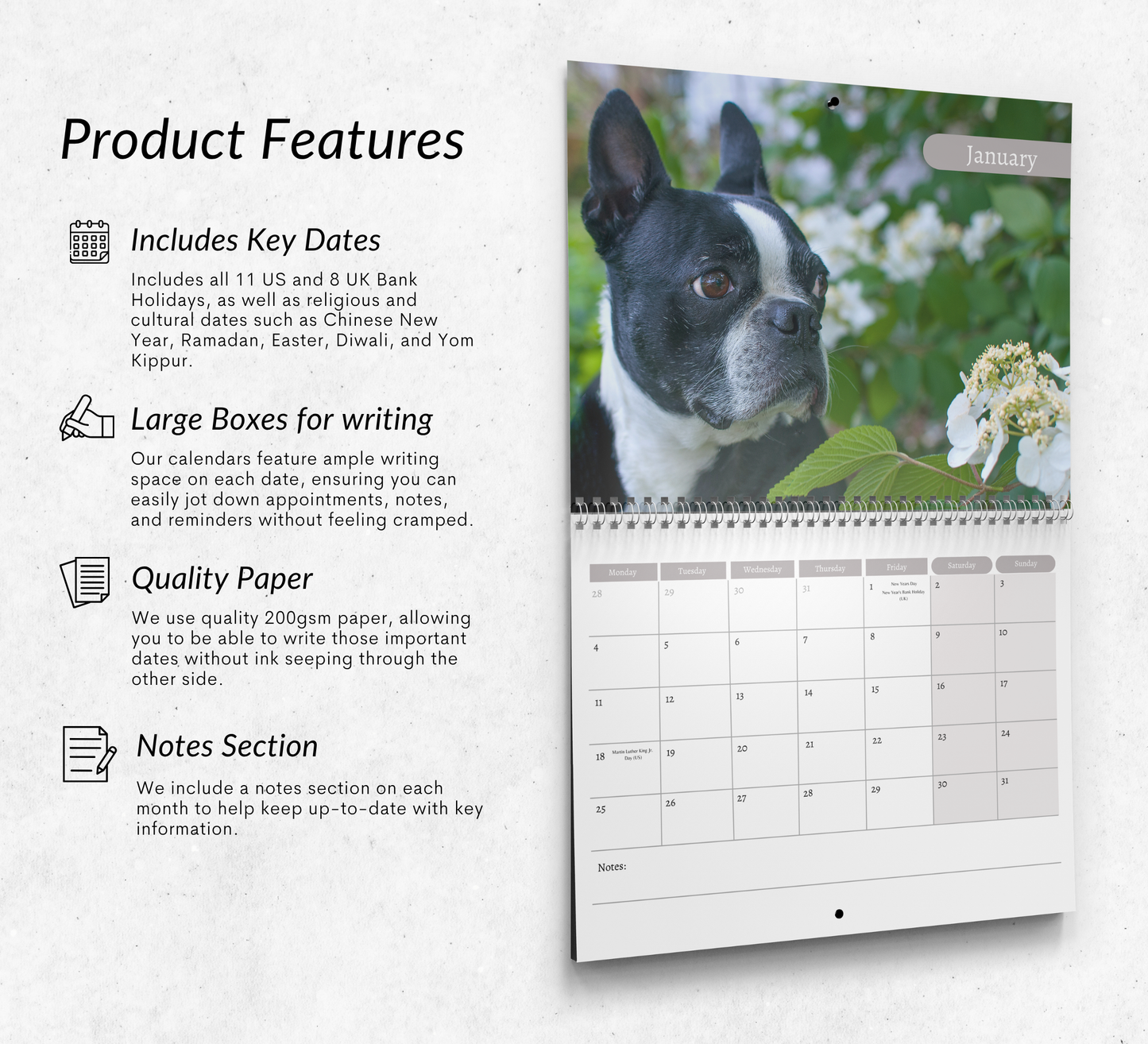 Boston Terrier Calendar 2027