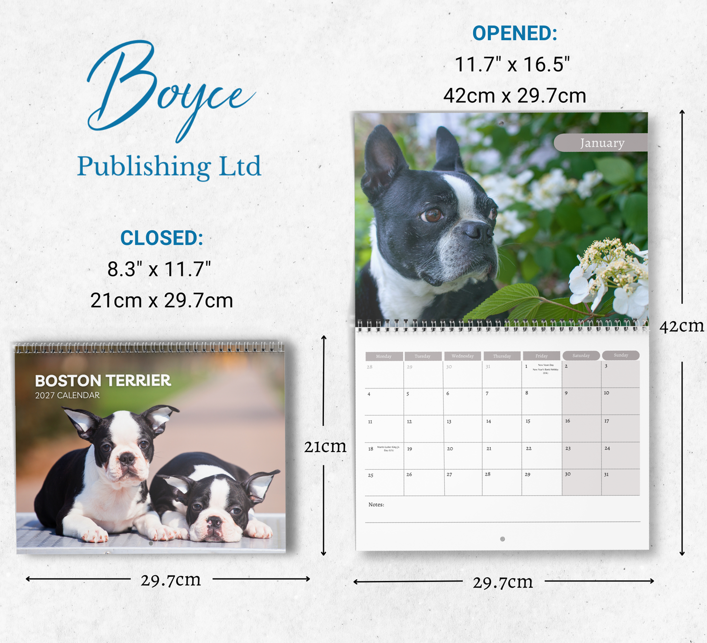Boston Terrier Calendar 2027