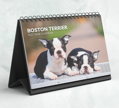Boston Terrier Desk Calendar 2027-2028