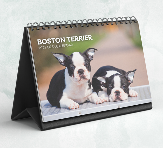 Boston Terrier Desk Calendar 2027-2028