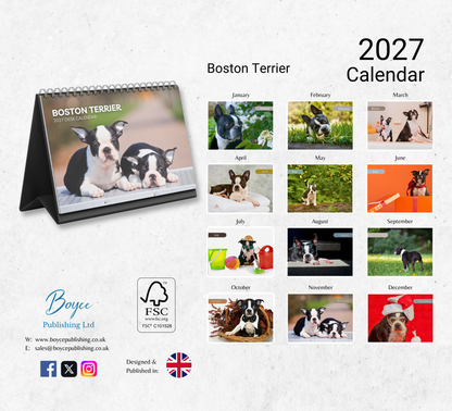 Boston Terrier Desk Calendar 2027-2028