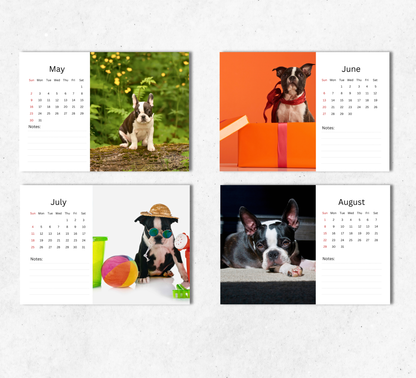 Boston Terrier Desk Calendar 2027-2028