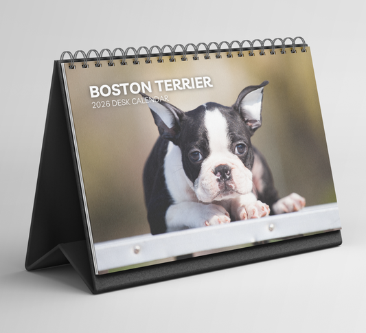 Boston Terrier Desk Calendar 2026-2027