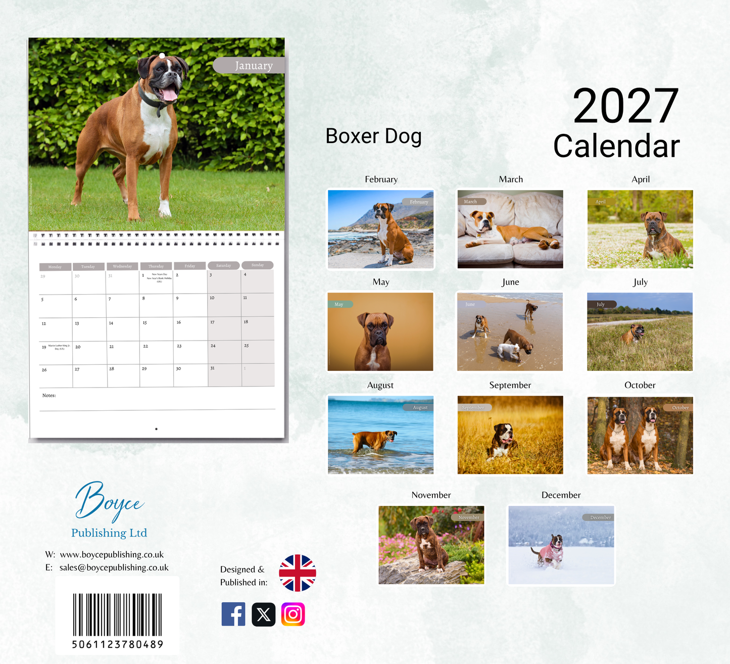 Boxer Dog Calendar 2027