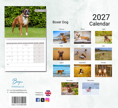 Boxer Dog Calendar 2027