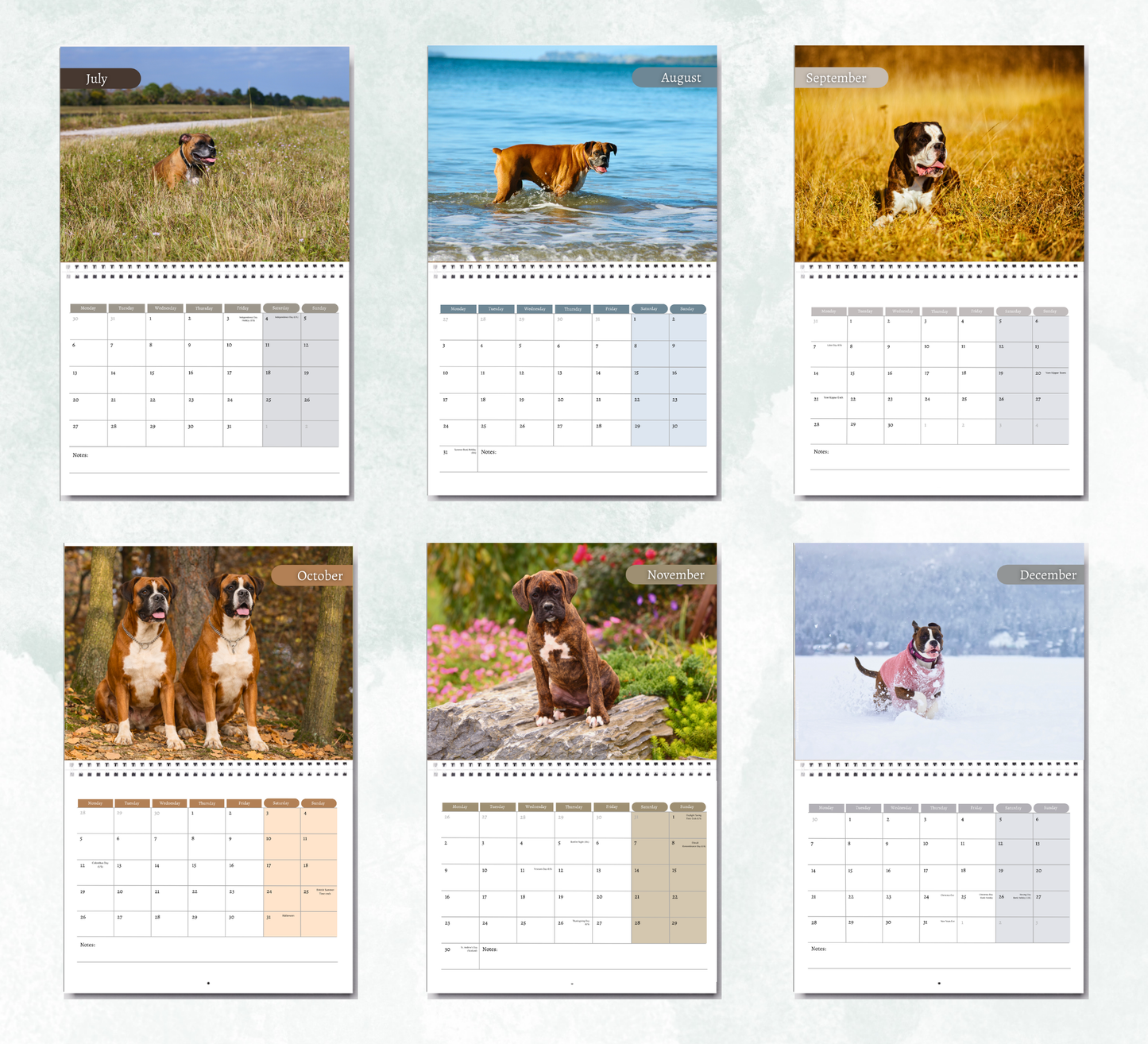 Boxer Dog Calendar 2027