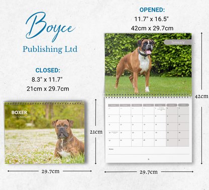 Boxer Dog Calendar 2027