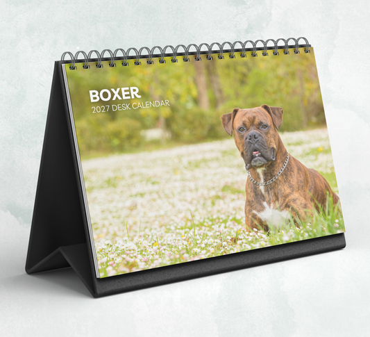 Boxer Dog Desk Calendar 2027-2028